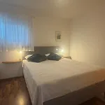 Sepic Apartament